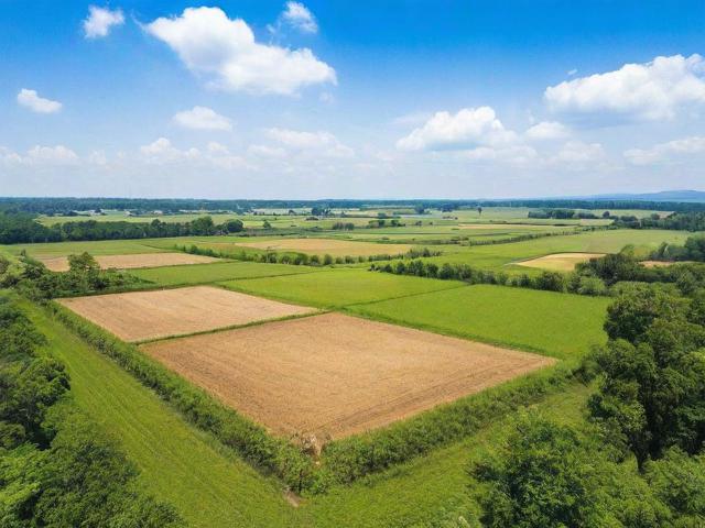 揭秘土地定制网站排名，如何选择最适合自己的土地信息平台