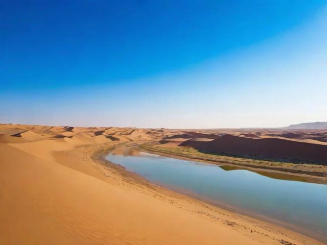 银川网站运营企业排名，揭秘银川地区最具实力的网站运营服务商