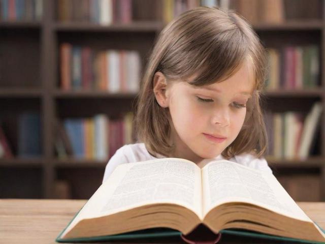 揭秘2023年度最受欢迎的阅读网站排名，阅读新潮流的引领者