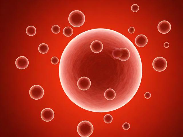 北京益生菌企业网站排名，揭秘行业佼佼者，助力健康生活