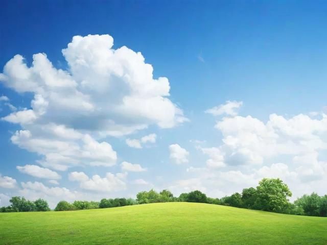 2023年度外语中文翻译网站排名解析，专业与便捷的交汇点