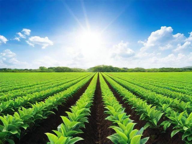 全球橡胶论文网站排名解析，科研资源的国际视野解读