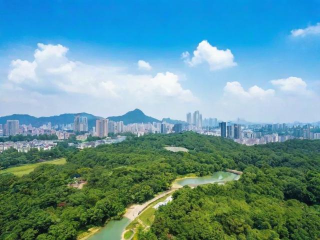 广东网站推广排名哪家好？揭秘行业佼佼者，助您网站脱颖而出！