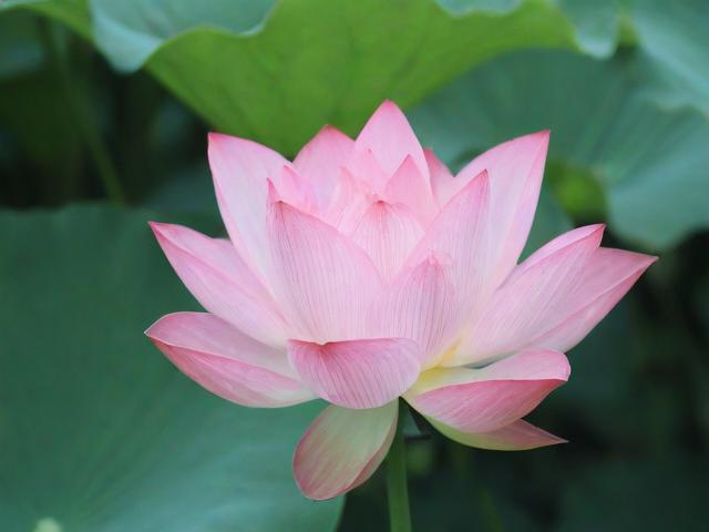 莲湖区哪里有专业且可靠的网站维护服务？