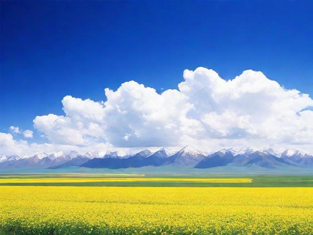 青海百度网站优化排名攻略，如何提升网站在百度搜索中的 visibility