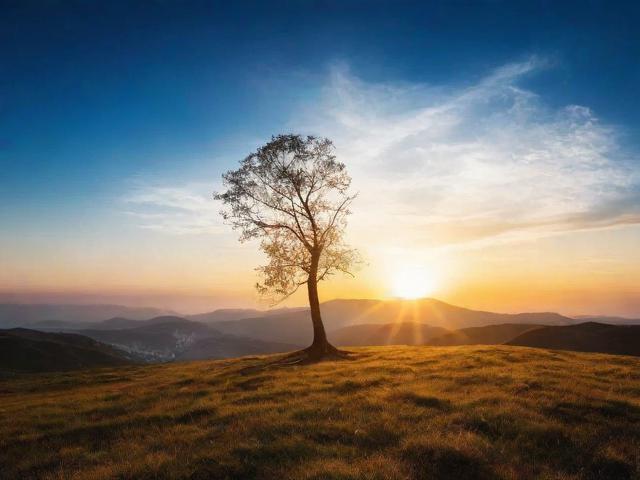 2023年度诗歌网站排名，诗意网络，指尖上的文学盛宴