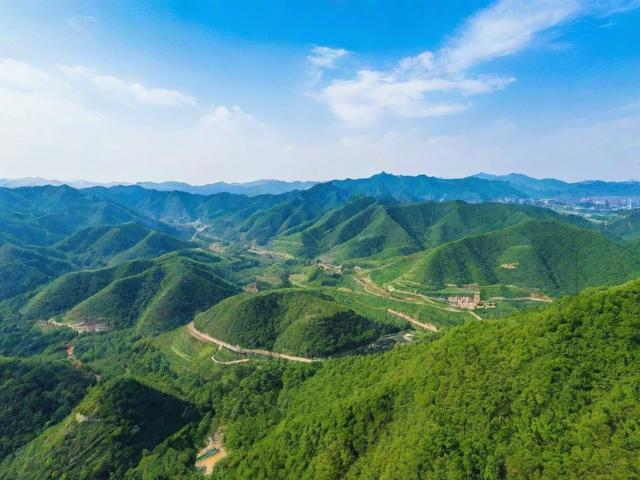 娄烦网站排名，一站式解决方案，值得您的信赖与推荐