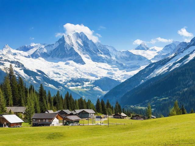 选择一家专业白山网站维护服务的指南