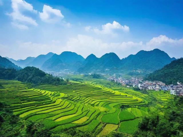 中国方言网站排名，探寻方言文化的网络新天地