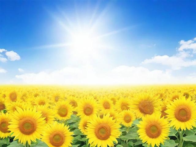 正能量网站豆瓣排名，盘点那些传播美好能量的平台