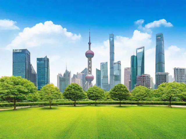 上海绿化招标网站排名，解析行业领先平台，助力绿色城市建设