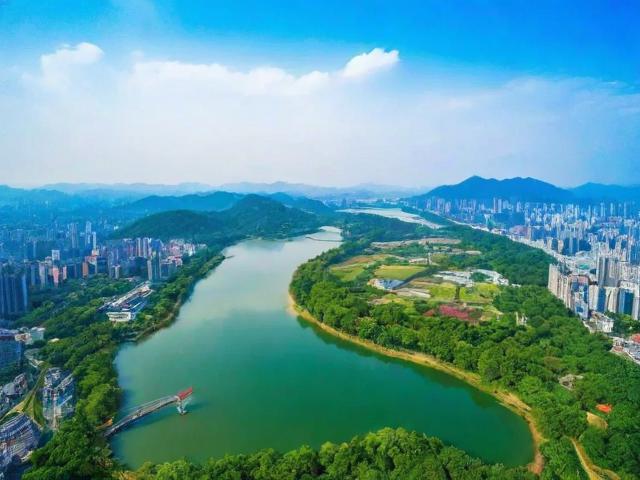 浙江网络短视频网站排名，短视频时代的流量高地盘点