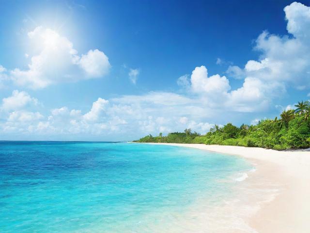 搭建优质湛江网站建设与维护的综合性题库