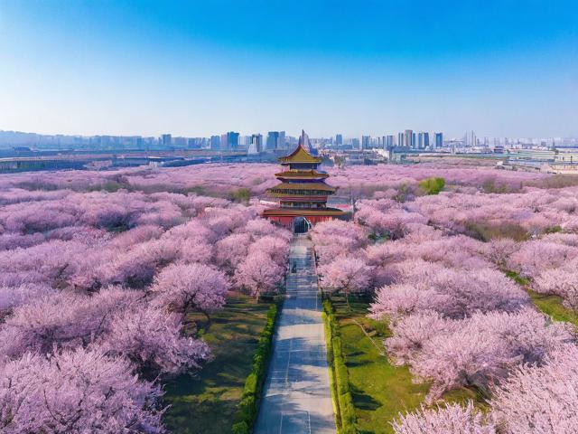 杏花岭区信息化网站排名，数字化转型的亮丽名片