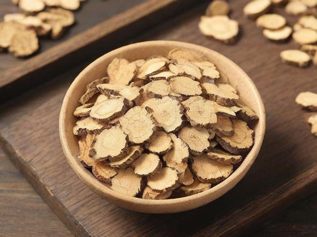 盘点2023年度好用的中药网站排名，中医爱好者必备资源汇总