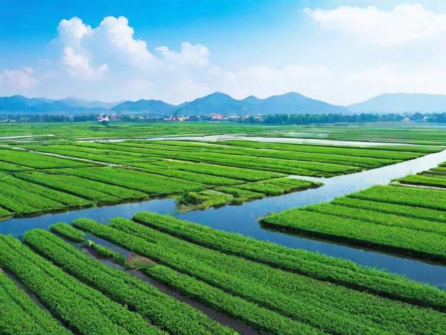 水产养殖药购买网站排名，揭秘行业领先平台，助力养殖户无忧采购