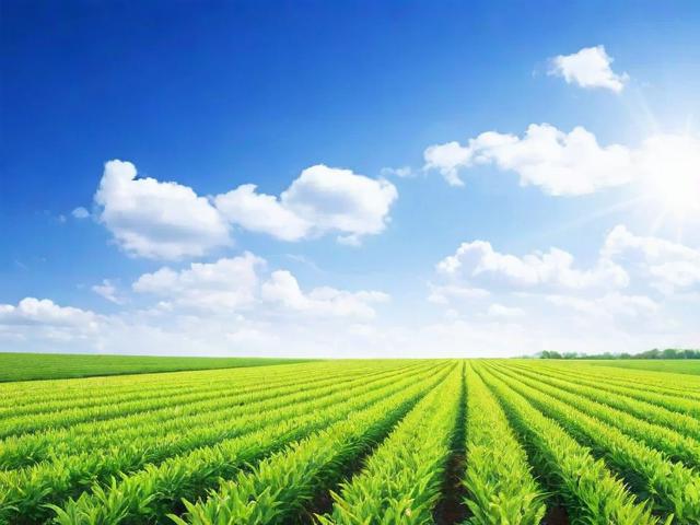 2023年销量最好的农资网站排名，揭秘农业供应链的数字化新趋势